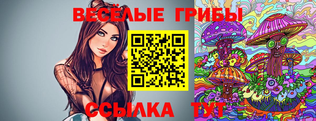 Галлюциногенные грибы GOLDEN TEACHER Нерюнгри