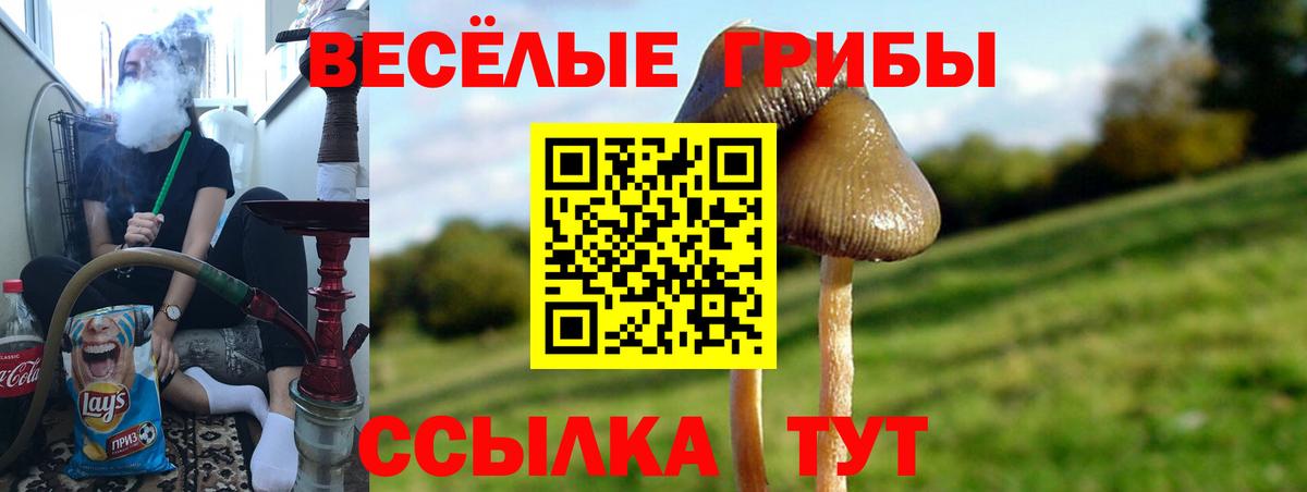 Псилоцибиновые грибы Psilocybine cubensis  Галлюциногенные грибы ЛСД  Нерюнгри  Вход с VPN 